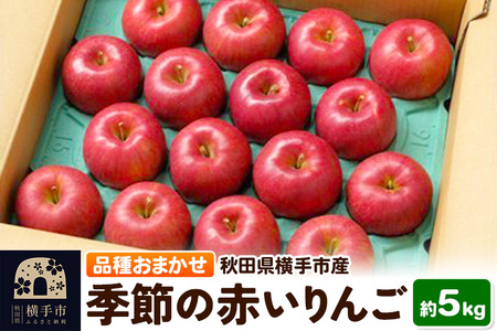 10{蔭 G߂̐Ԃ 5kgiӂ(₽)AVimXC[gAӂ(܂ӂ)ATӂj