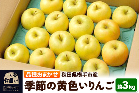 10{蔭 G߂̉F 3kgigLAܖAVimS[hAсj