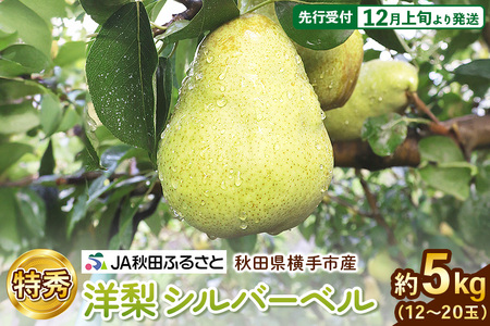 miV(Vo[x) G 12ʁ`20(5kg)