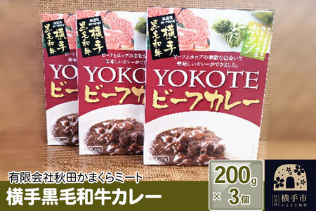 横手黒毛和牛カレー 200g1個入り×3個