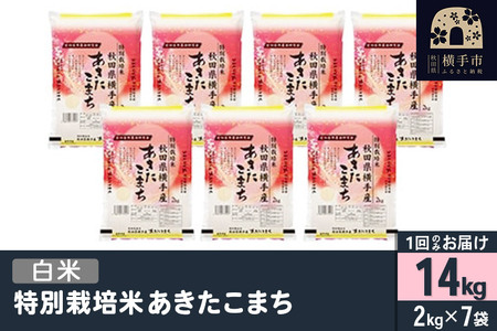 yāzߘa7NY ʍ͔| ܂ 14kgi2kg×7܁j