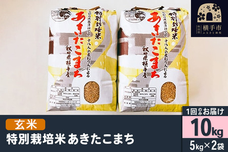 yāzߘa7NY ʍ͔| ܂ 10kgi5kg×2܁j