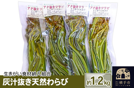 灰汁抜き天然わらび 約1.2kg