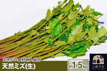 天然ミズ(生) 1.5kg