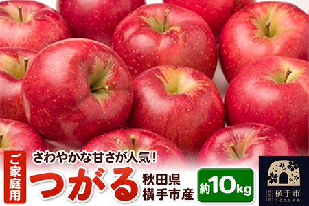 酸味が少なく爽やかな甘さが特徴!横手産りんご[つがる]ご家庭用 約10kg