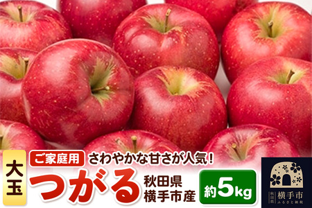 酸味が少なくさわやかな甘さが特徴!横手産りんご[つがる][大玉]ご家庭用 約5kg(〜18玉)