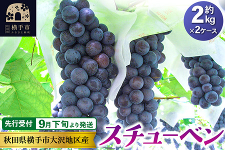[先行受付]9月下旬より発送 濃甘な完熟葡萄 横手市大沢地区産 ぶどう スチューベン 約2kg×2ケース