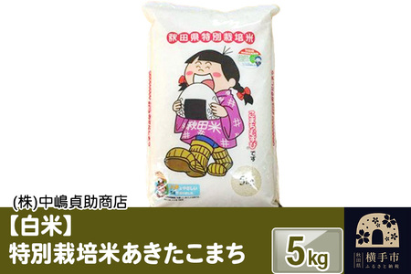 �s�ߘa7�N�Y�t�y���āz�H�c������Y���ʍ͔|�Ă��������܂� 5kg(5kg×1��)