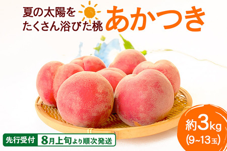 sstI8{菇tĂ̑z񗁂т  3kgi9`13ʑOj