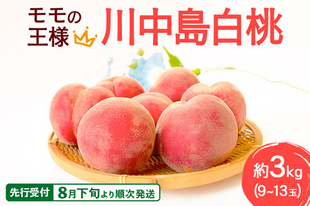 [先行受付!8月下旬より順次発送]モモの王様 川中島白桃 約3kg(9〜13玉前後)