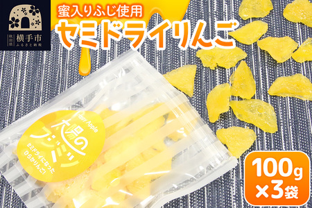 セミドライりんご「太陽のフジミツ」100g×3袋