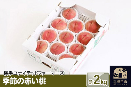 8月上旬より発送 季節の赤い桃 約2kg（あかつき、川中島白桃、伊達白桃、幸茜）