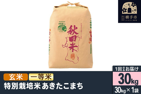 �y���āz�ߘa7�N�Y ���ʍ͔|�Ă��������܂��i�ꓙ�āj 30kg