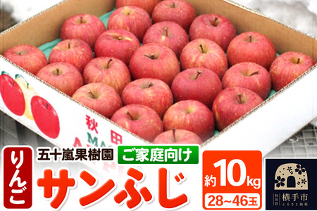12月中旬より発送 [ご家庭向け]サンふじ 約10kg (28〜46玉) りんご 林檎
