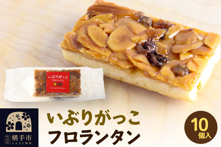 Ԃ肪t^ 10 䂤pPbg
