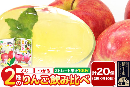 2種のりんごジュース飲み比べセット[ふじ、つがる]計20個(2種×各10個)