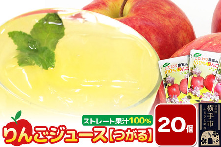 りんごジュース【つがる】20個