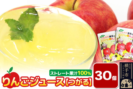 りんごジュース【つがる】30個