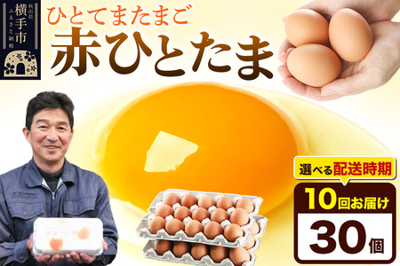 y퉷zs10tԂЂƂ 30iƖpjyIׂzCї{{ ԂЂƂ  ʎq ܂ ^}S 10 10 10J 10P JnIׂ