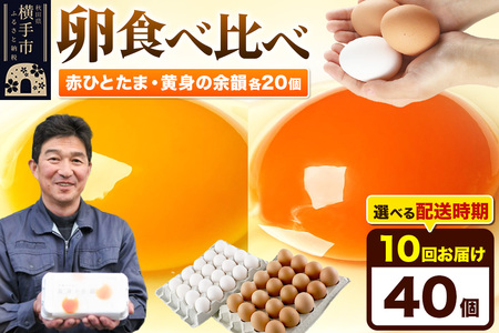 y퉷zs10tԂЂƂ 20Eg̗]C 20 v40iƖpjyIׂzCї{{ ԂЂƂ g̗]C  ʎq ܂ ^}S 10 10 10J 10P
