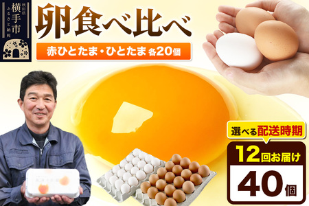 y퉷zs12tԂЂƂ 20EЂƂ 20 v40iƖpjyIׂzCї{{ ԂЂƂ ЂƂ  ʎq ܂ ^}S 12 12 12J 12P J