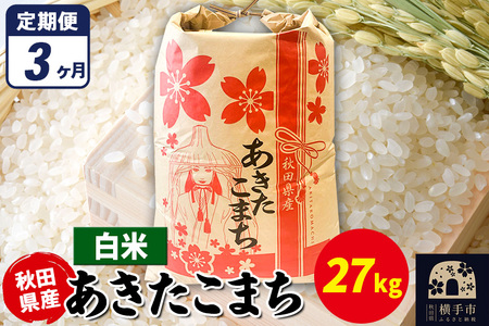 s3t܂ 27kg×1܁yāzߘa7NY HcY ܂C