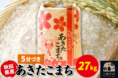 ܂ 27kg×1܁y5Âzߘa7NY HcY ܂C