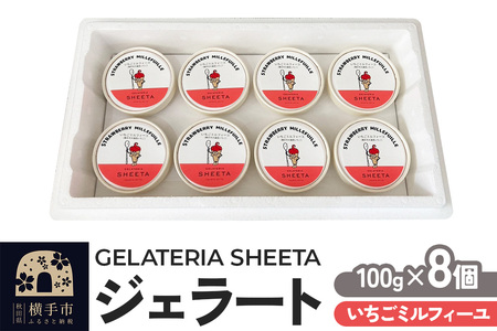 WF[g ~tB[ 100g×8