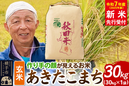 《令和7年産 新米受付》忠さん農園 作り手の顔が見えるお米 秋田県横手市産 あきたこまち 玄米 30kg