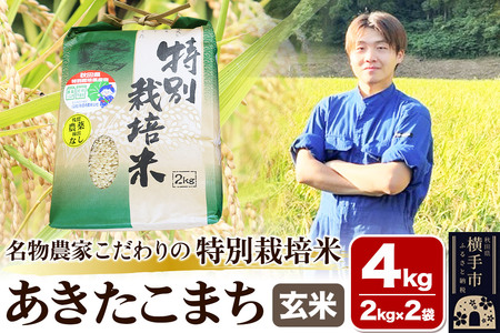 �y���āz�y�ߘa7�N�Y�z�����_�Ƃ������̓��ʍ͔|�� ���������܂� 4kg�i2kg×2�܁j