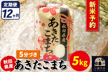《令和7年産 新米受付》《定期便12ヶ月》あきたこまち 5kg【5分づき】秋田県産 こまちライン