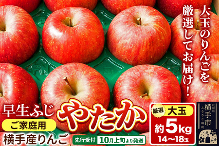 [先行受付]10月上旬より発送 横手市りんご 早生ふじ・やたか[大玉]ご家庭用 約5kg