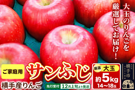 [先行受付]12月上旬より発送 横手市増田産りんご サンふじ[大玉]ご家庭用 約5kg