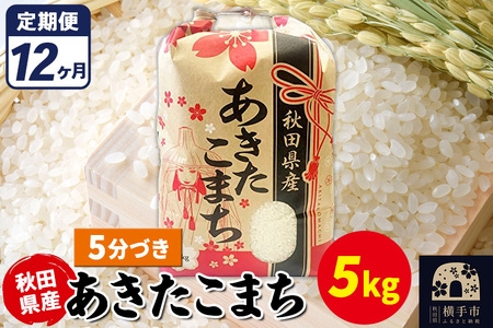 s12t܂ 5kgy5Âzߘa7NY HcY ܂C