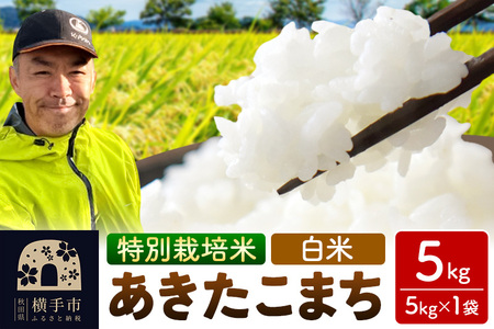 秋田県 横手市 [白米]令和7年産 秋田県産 特別栽培米 あきたこまち 5kg(5kg×1袋)