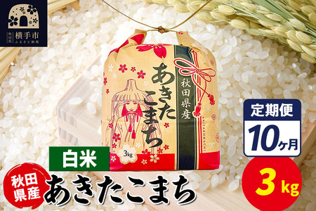 s10t܂ 3kg×1܁yāzߘa7NY HcY ܂C