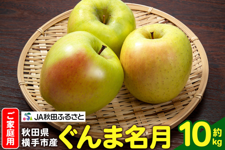 y11{蔭z ܖ ƒp 10kgi32`40ʁj