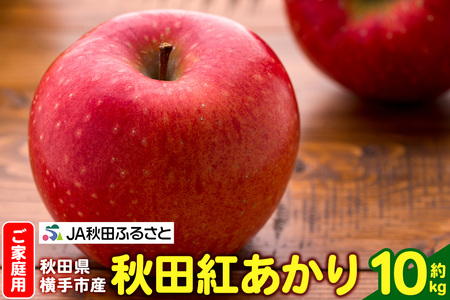 y11{蔭z Hcg ƒp 10kgi32`40ʁj