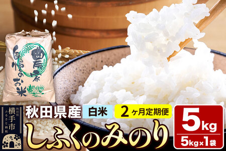 yāzs2tߘa7NY ӂ݂̂̂ 5kgi5kg×1܁j×2 v10kg HcY s