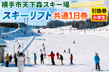 横手市天下森スキー場 スキーリフト共通1日券(小学生)引換券 ゆうパケット