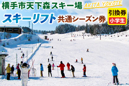 横手市天下森スキー場 スキーリフト共通シーズン券(小学生)引換券 ゆうパケット