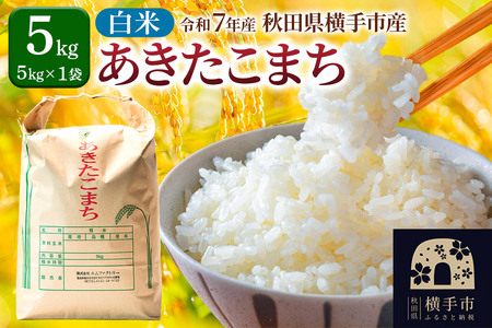 �y���āz�ߘa7�N�Y ���������܂� 5kg�i5kg×1�܁j ����s�Y