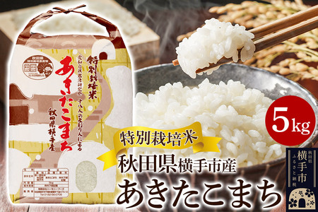 �y���āz���ʍ͔|�Ă��������܂� 5kg