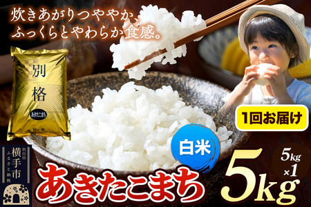 [令和7年産] 米 あきたこまち 5kg [白米] 秋田県産