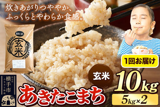 《令和7年産》 米 あきたこまち 10kg（5kg×2袋） 【玄米】 秋田県産