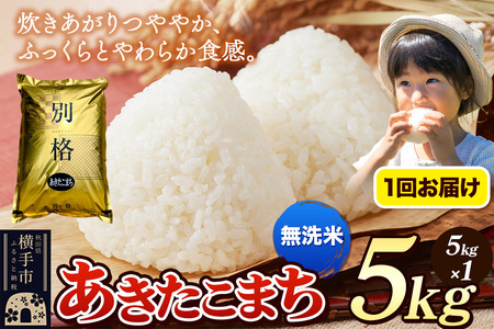 [令和7年産] 米 あきたこまち 5kg [無洗米] 秋田県産