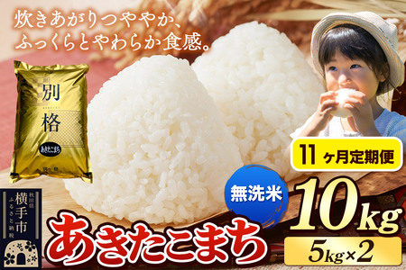 《令和7年産》《定期便11ヶ月》 米 あきたこまち 10kg（5kg×2袋） 【無洗米】 秋田県産