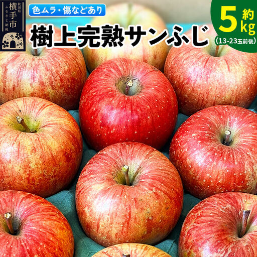 [先行受付]12月上旬より発送[色ムラ・キズ等あり]樹上完熟サンフジ 約5kg(13〜23玉前後)