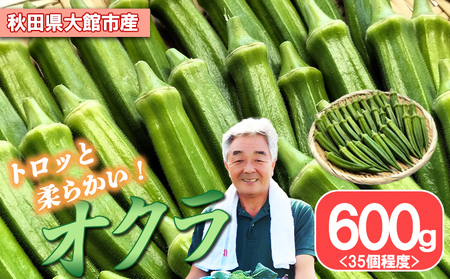 トロッとおいしいオクラ[約600g] 50P3254
