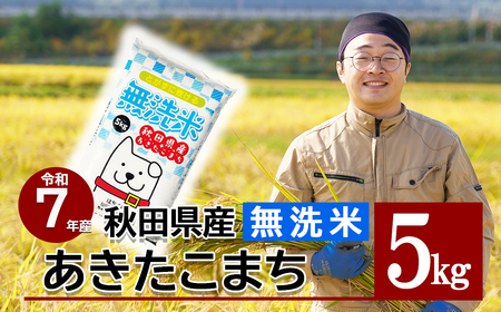 [令和7年産先行受付]秋田県産「あきたこまち(無洗米)」 5kg(5kg×1袋) 75P9203